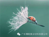 【博皓感悟】成功，要“借力”，不要“盡力”